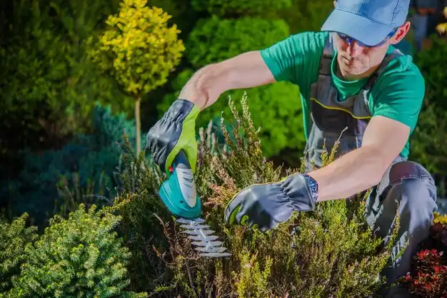 landscaping services Charlack